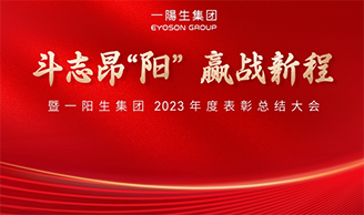 斗志昂阳，赢战新程丨恒峰g22集团2023年度总结表
